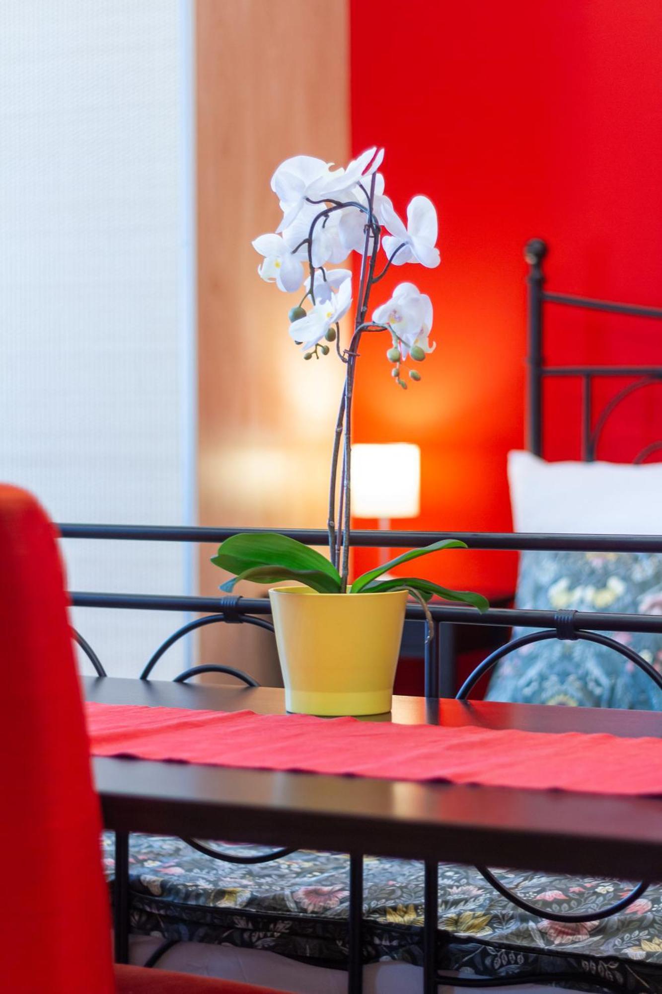 Badepest Apartment Budapest Ngoại thất bức ảnh
